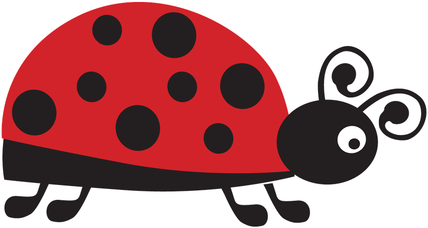 Minus Pond Life, Lady Bug, Flower Art, Insects, Bugs, - Floral Design Clipart (900x477), Png Download