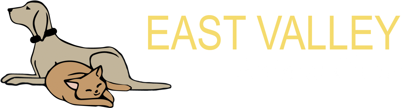 Clip Royalty Free Download Dentistry X Ray East Valley - Dentistry - Png Download (1500x373), Png Download