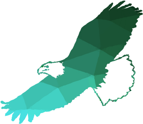 Bald Eagle Clipart (900x900), Png Download