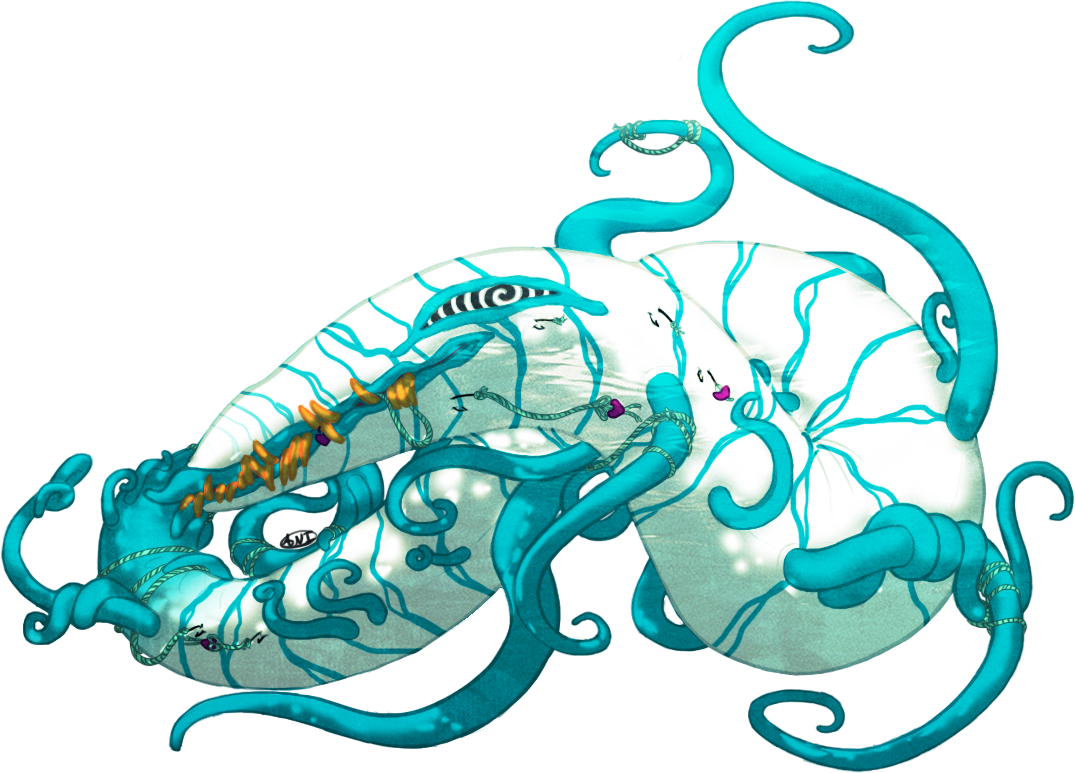 The Peaceful Lesbian Sistrinithe Peaceful Lesbian Sistrini - Lesbian Clipart (1075x773), Png Download