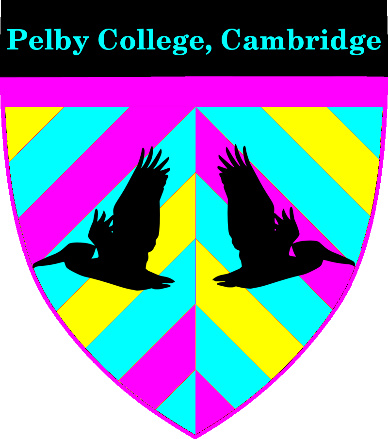 Pelican Silhouette Clipart (800x905), Png Download