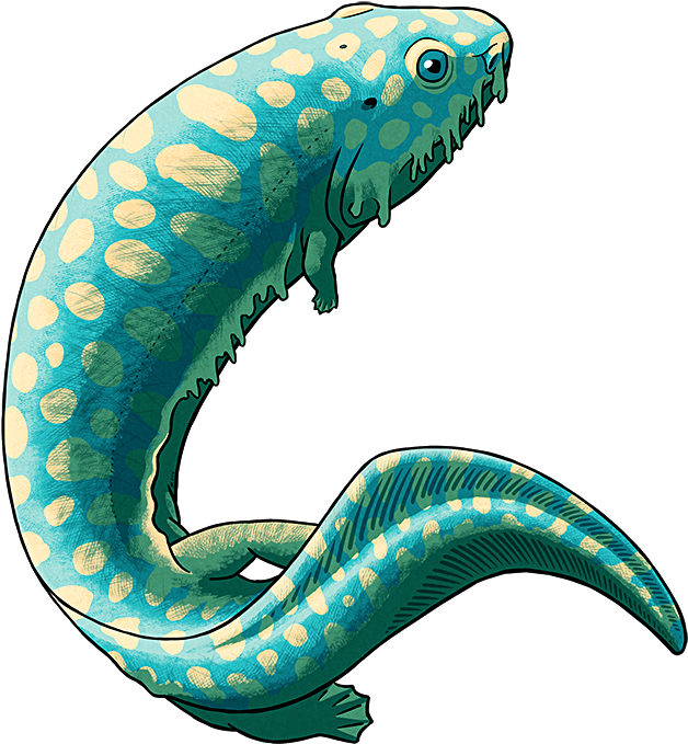 Amphibian August - Carboniferous Period Animals Transparent Clipart (656x700), Png Download