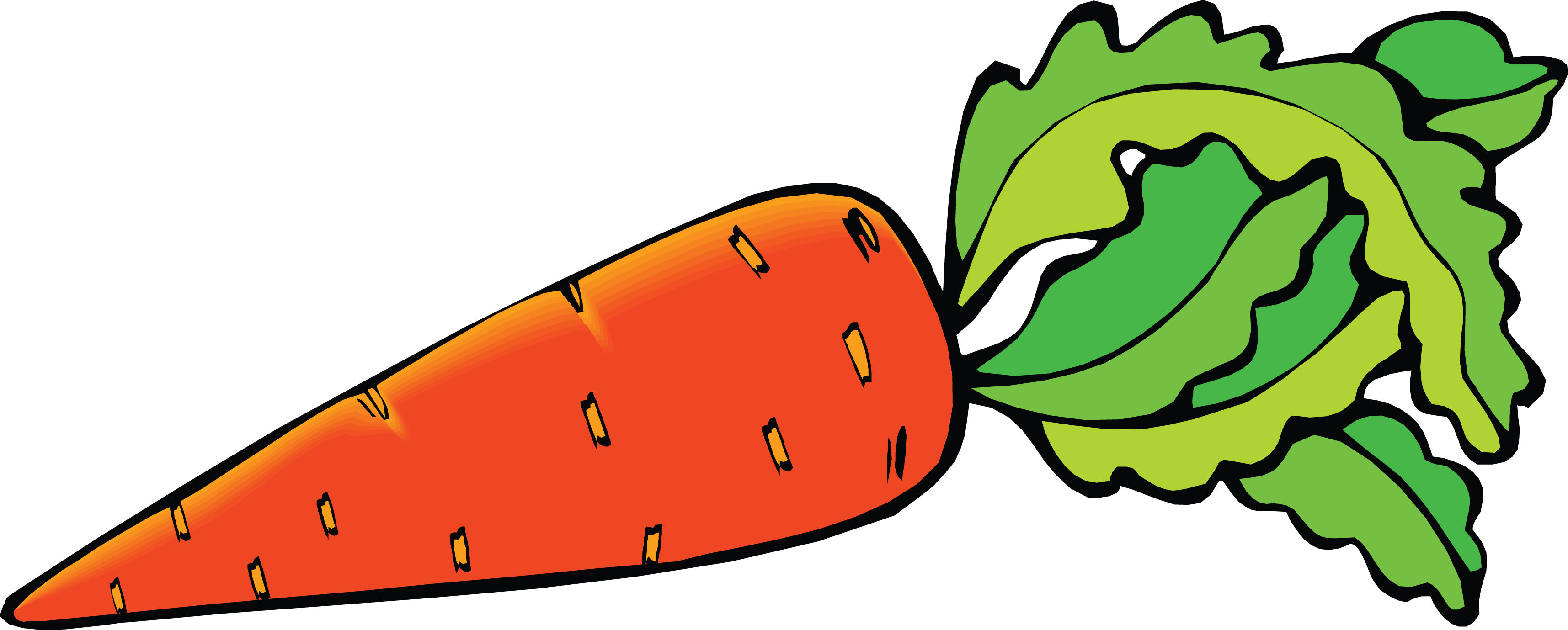 U0422 U0410 U041d U0418 U042f U041c U041e U0420 U041a - Clipart Images Of Carrot - Png Download (3430x1379), Png Download