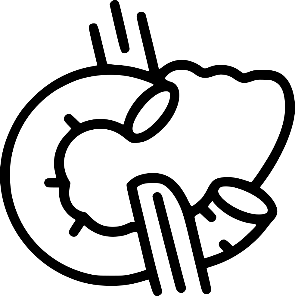 Pancreas Comments - Pancreas Icon Png Clipart (980x984), Png Download