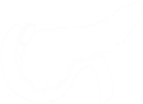 Pancreas - Pancreas Icon Clipart (647x543), Png Download