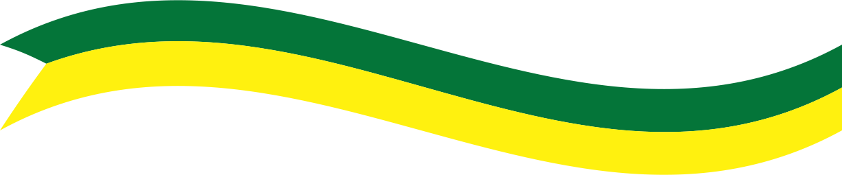 2009 - Flag Clipart (1227x255), Png Download