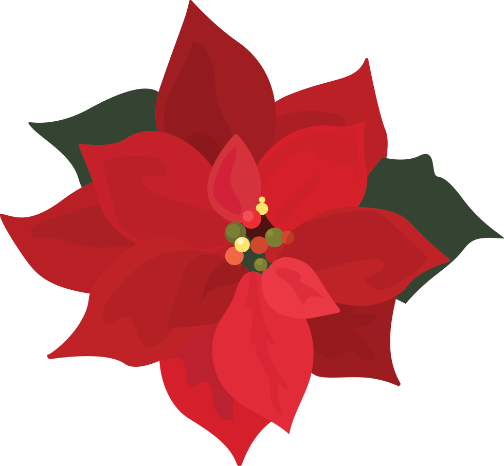 Poinsettia Clipart - Png Download (980x907), Png Download