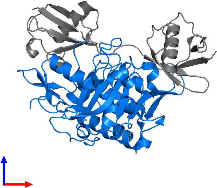 <div Class='caption-body'>pdb Entry 3wxf Contains 1 - Actin Clipart (800x800), Png Download