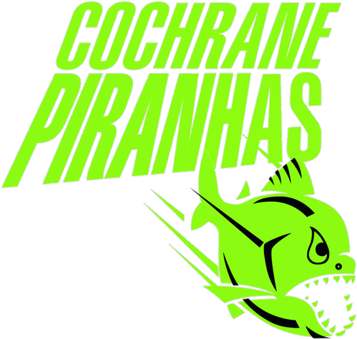 Photograph Clipart (1200x1135), Png Download