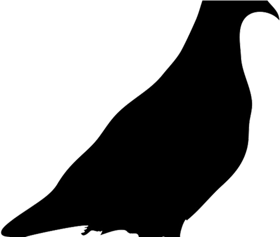 Lying Down Clipart Hawk - Png Download (640x480), Png Download