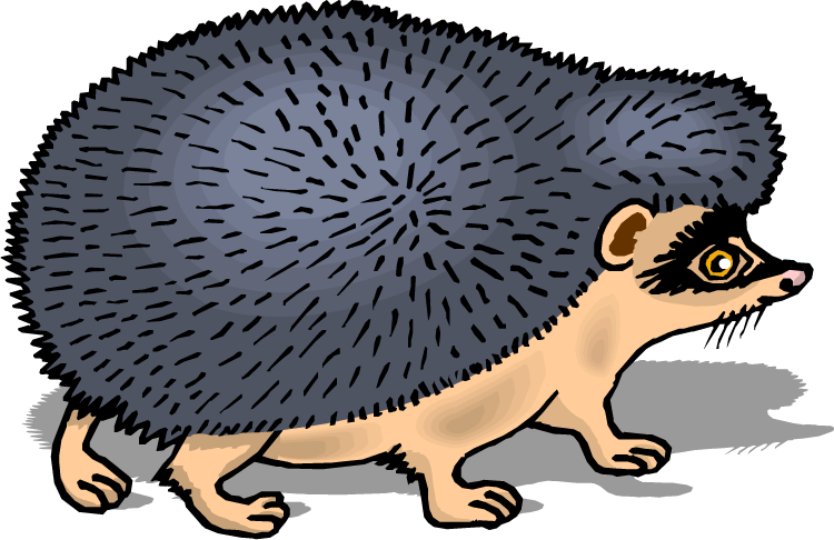 Masked Hedgehog Clipart (750x486), Png Download