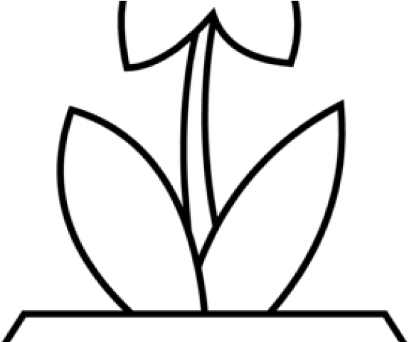 Flower Pot Clipart - Flower Pot Colouring Pages - Png Download (640x480), Png Download