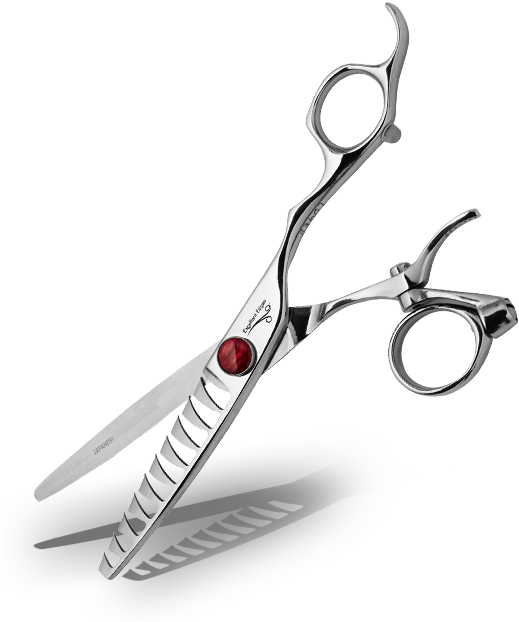 Learn More About The Barbery Clipart (543x651), Png Download