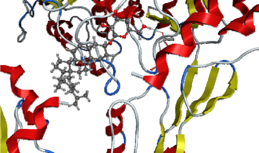 3d Representation Of Docking Of Compound C7 Into The Clipart (850x501), Png Download