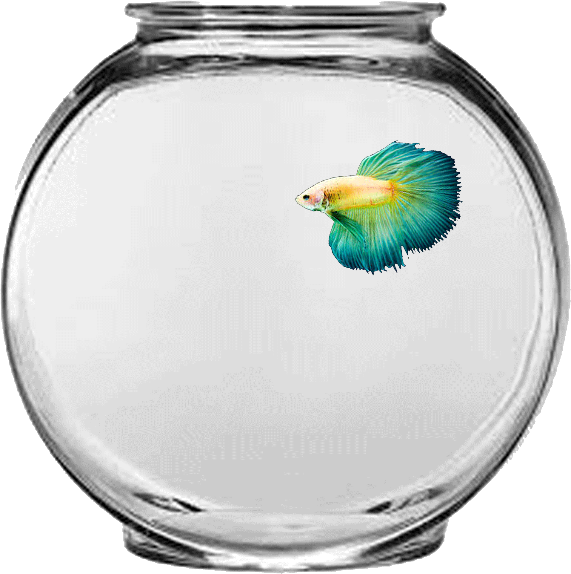 Simple Fish Aquarium Pre-loader Clipart (2400x2400), Png Download