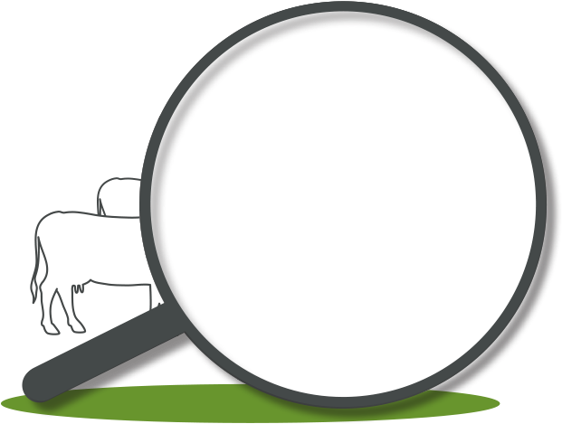 Best Neck Collar For Cows & Heifers Clipart (711x474), Png Download