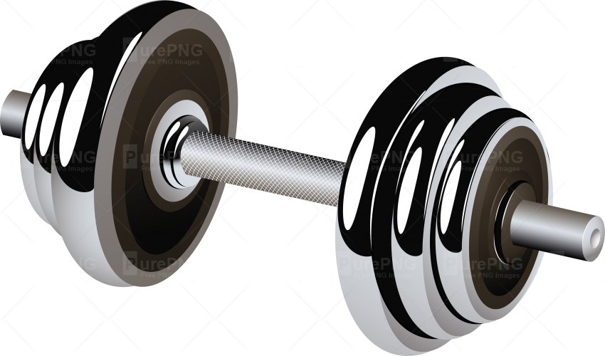 Weight Plates Clipart Transparent Background - Png Download (850x500), Png Download