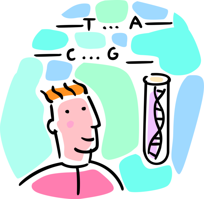 Transparent Download Human Dna Chromosome Analysis Clipart (716x700), Png Download