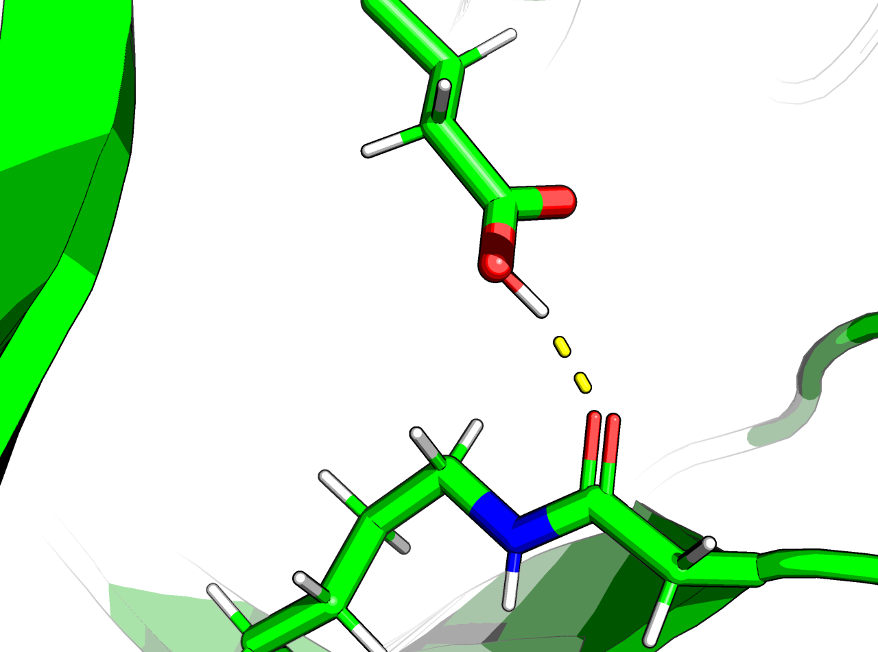 The Proton Of Glutamic Acid Hydrogen Bonds With The Clipart (1280x951), Png Download