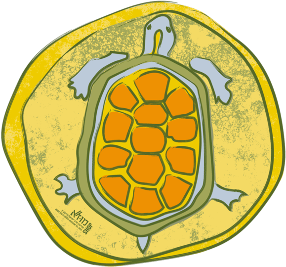 Muza Eretz Israel Museum Tel Aviv Round Picture -tortoise Clipart (800x800), Png Download