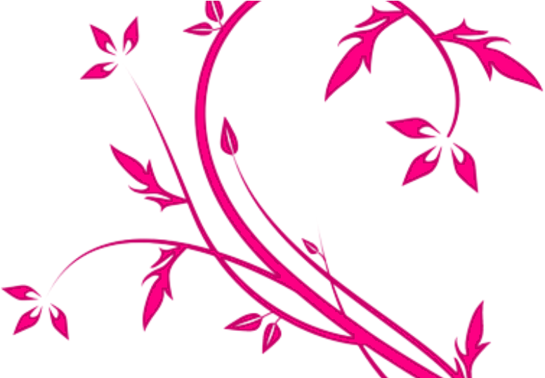 Colorful Frames, Birthday Frames, Flower Frame, Albums, Clipart (1024x538), Png Download