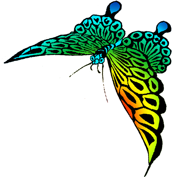 Colorful Beautiful Butterfly Images Clipart (645x650), Png Download