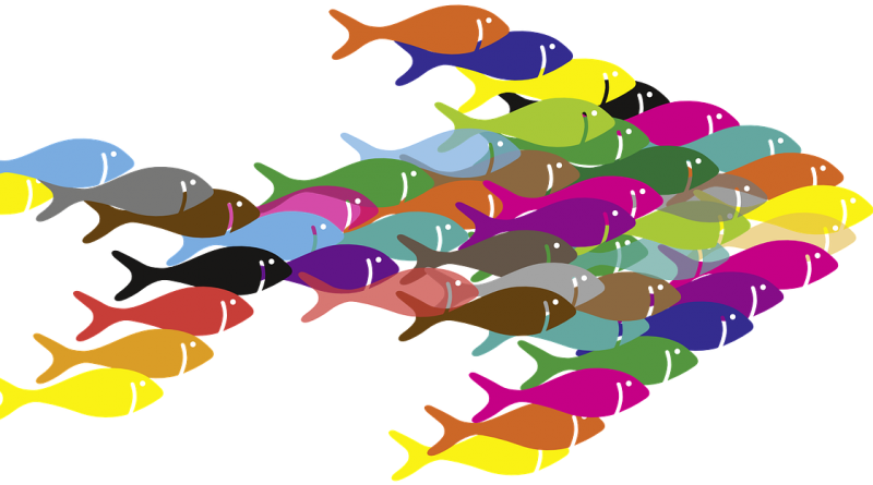 Blog Corruption In Fragile States Series Clipart (800x445), Png Download