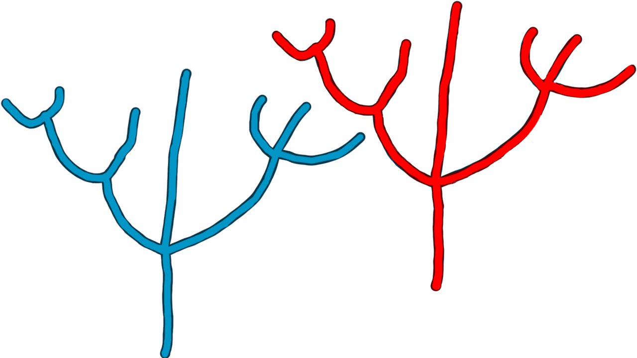Here Are Some Simple Brain Nerve Paths Art That I Quickly Clipart (1280x720), Png Download