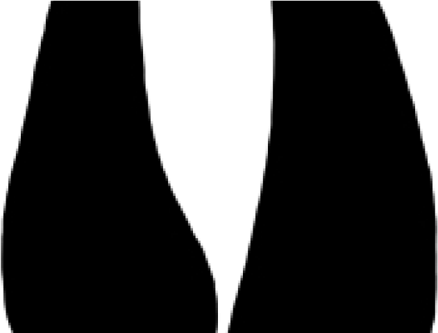 Feet Clipart Kangaroo - Png Download (640x480), Png Download