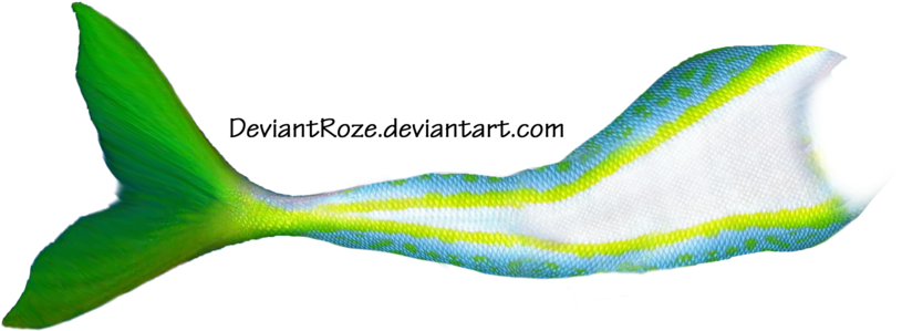 Mermaid Tails Clipart - Png Download (900x425), Png Download