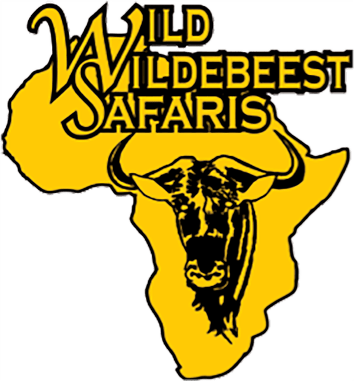 Wild Wildebeest Safaris, South Africa Clipart (724x780), Png Download