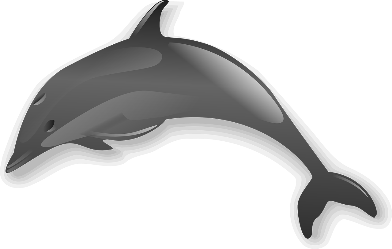 Bottlenose Dolphin Clipart Seahorse - Png Download (900x572), Png Download