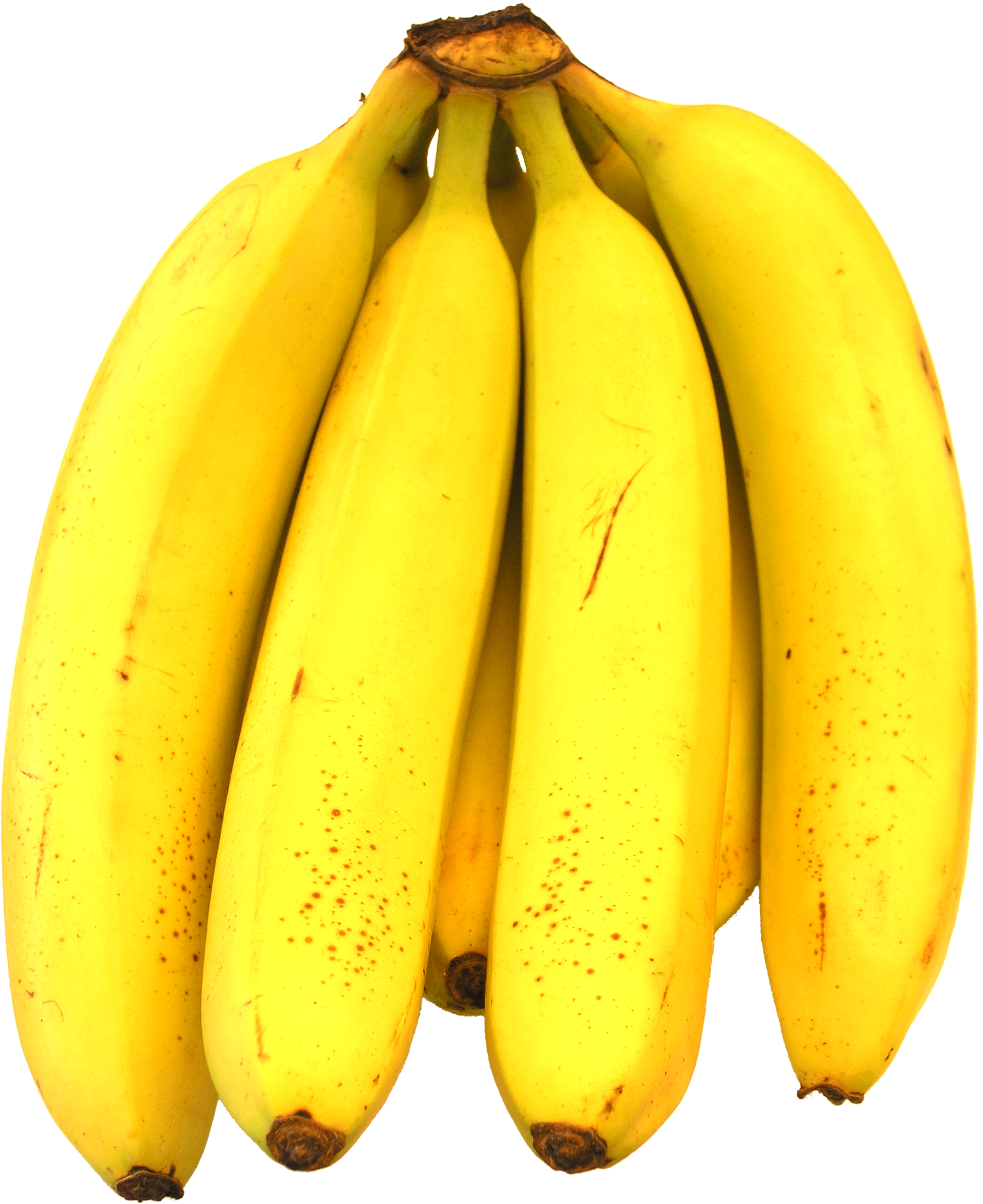 Asian Fruit Clipart (1903x2331), Png Download