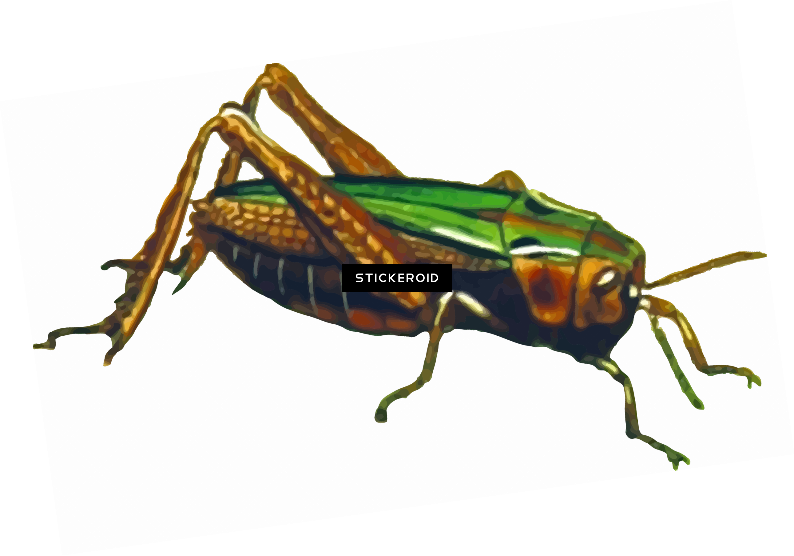 Grasshopper Clipart (2582x1807), Png Download