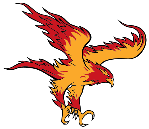 Falcon Clipart (800x800), Png Download