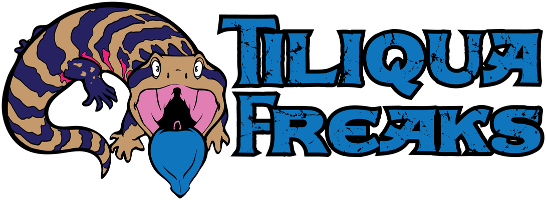 Kimberly Northern Blue Tongues Clipart (1100x425), Png Download