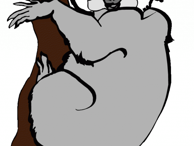 Koala Clipart Line - Png Download (640x480), Png Download