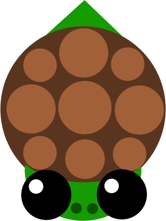 Baby Sea Turtle Skin Clipart (800x800), Png Download