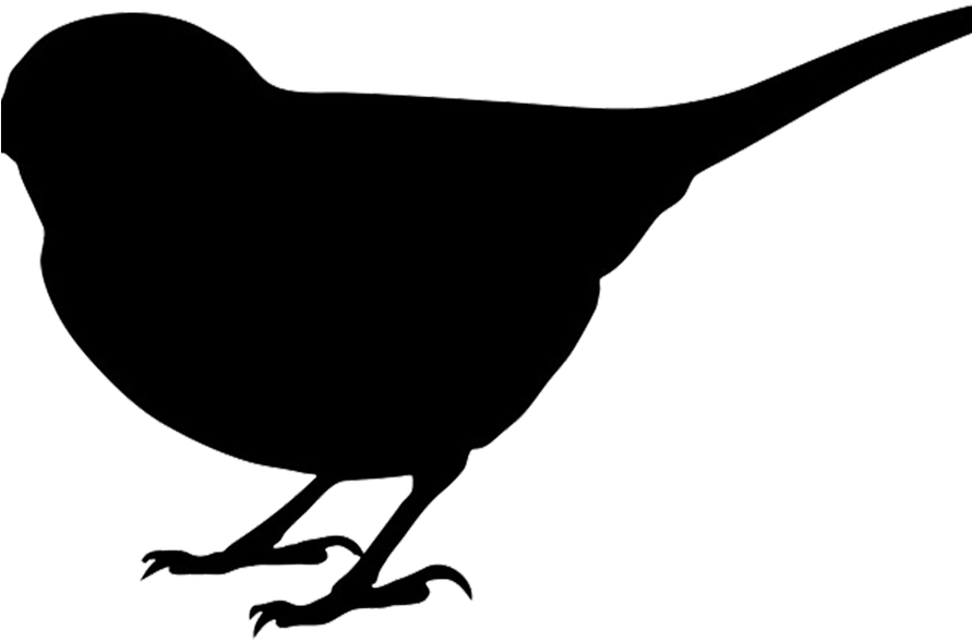 Bird Silhouette Cliparts - Png Download (890x700), Png Download