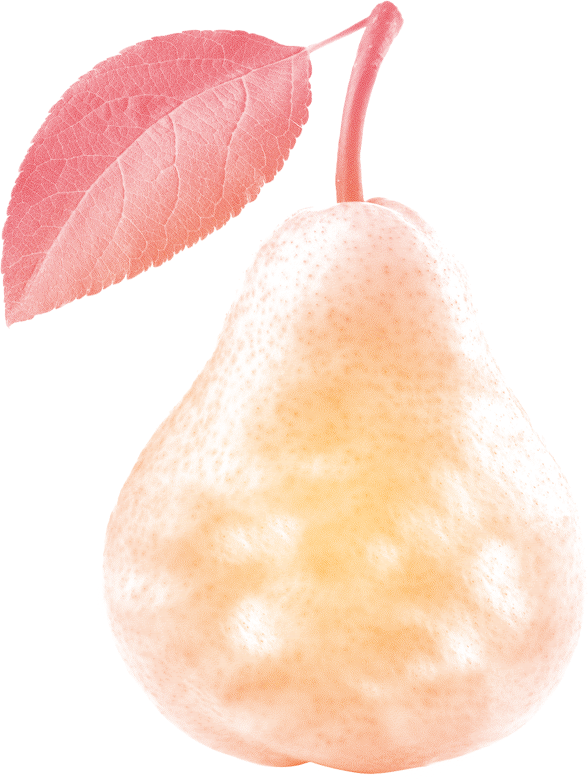 Thermal Shape Is A Non Invasive Body Treatment That Clipart (1800x1615), Png Download