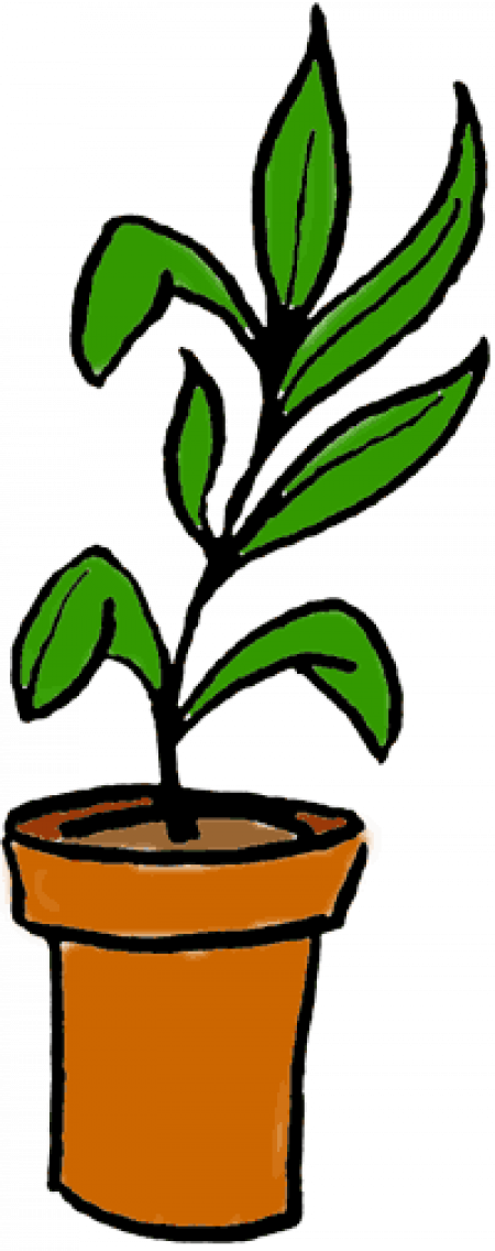 Plants Clipart - Png Download (450x1136), Png Download