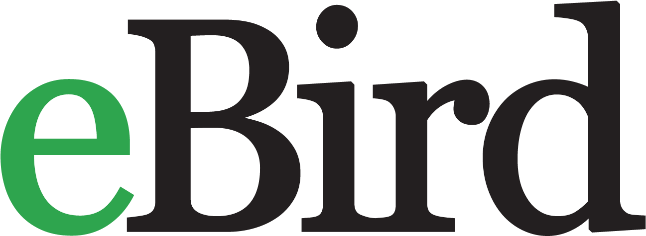 Leave A Reply Cancel Reply Clipart (1320x491), Png Download