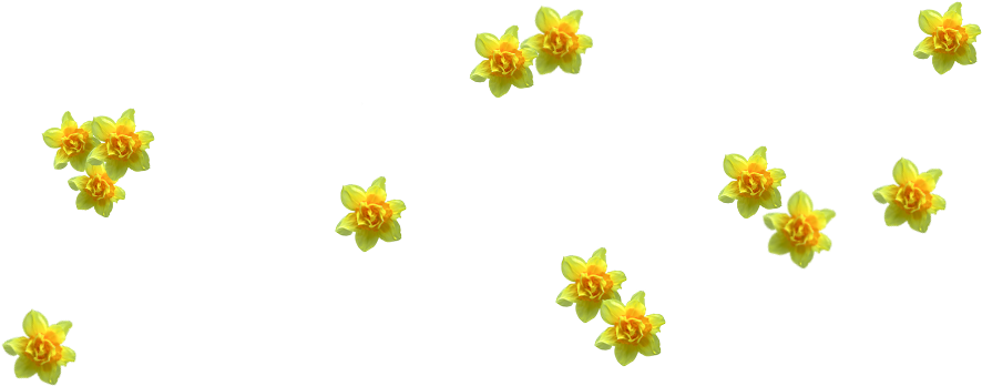 Images Navigation Clipart (930x350), Png Download