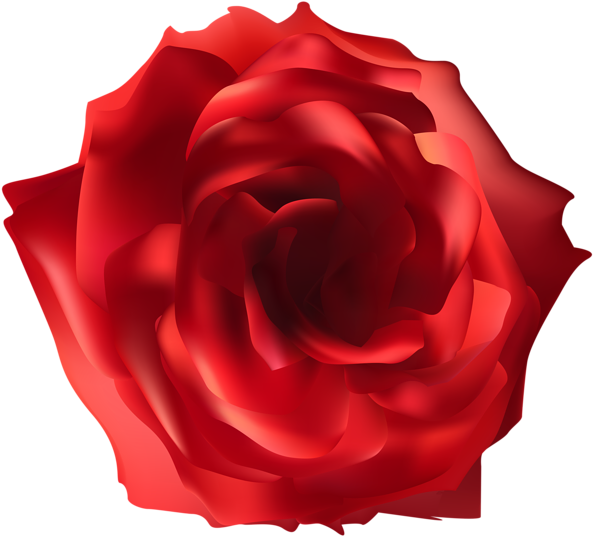 Red Rose Png, Red Roses, Art Images, Clip Art, Art Transparent Png (600x543), Png Download