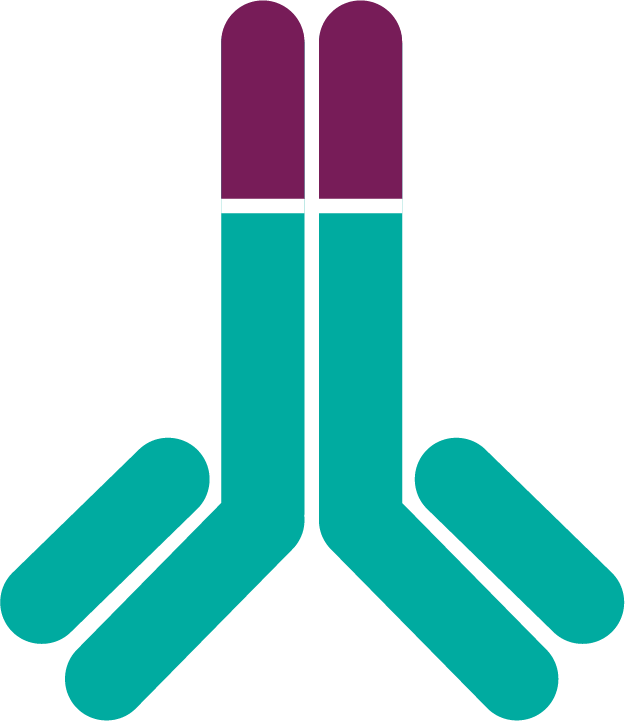 Fasenra Accomplishes Direct And Rapid Depletion Of Clipart (625x721), Png Download