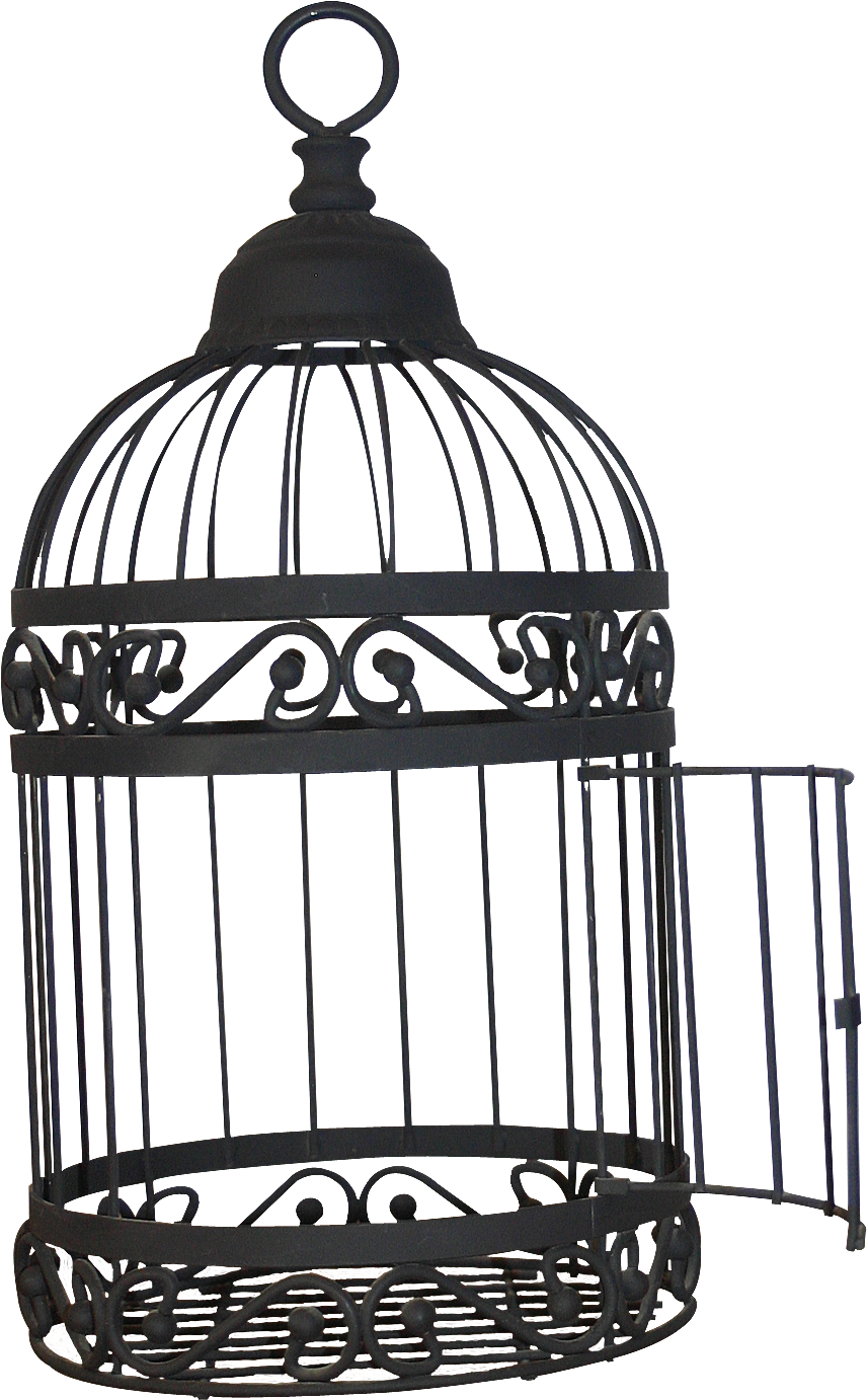 Birdcage Transparent Images Clipart (928x1460), Png Download