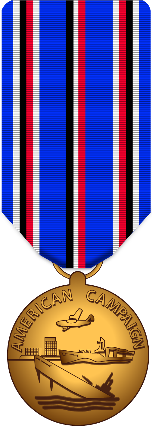 Marine Corps Medals, Navy Medals, Army Medals, Air Clipart (504x1422), Png Download