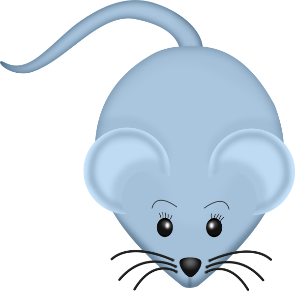 Mouse Animals Images, Zoo Animals, Animal Pictures, Clipart (600x592), Png Download