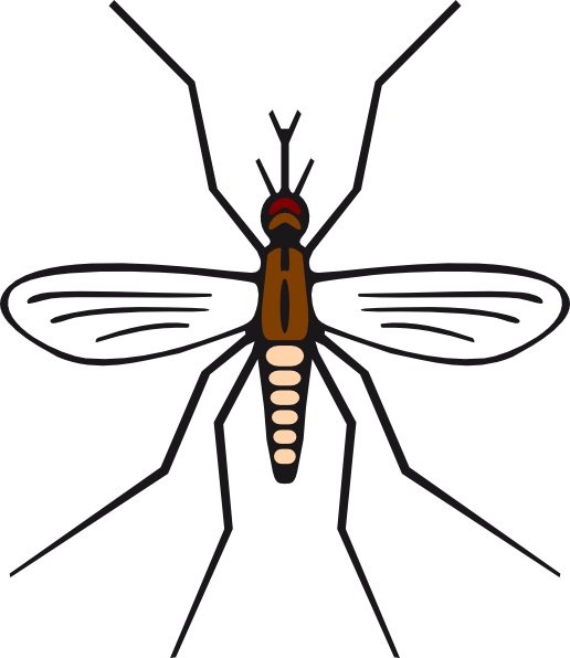 Mosquito In Brown Color Clip Art At Clker Com - Png Download (516x596), Png Download