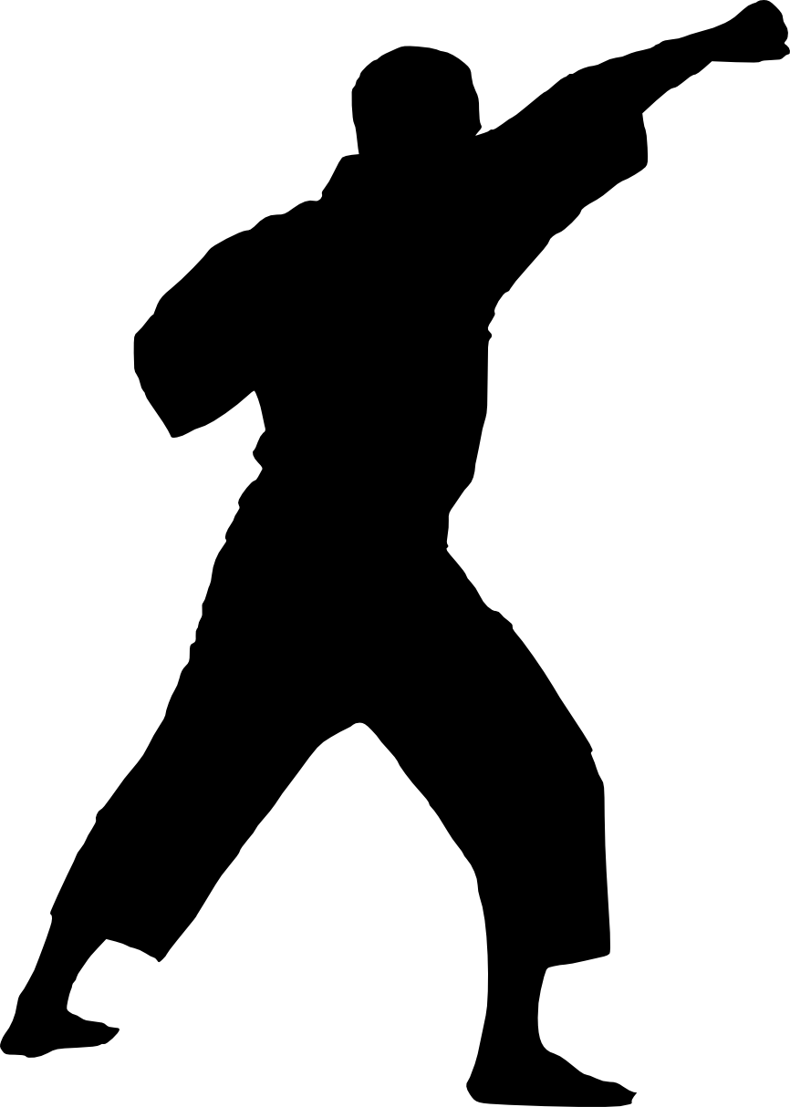 Free Png Karate Silhouette Png Clipart (480x674), Png Download